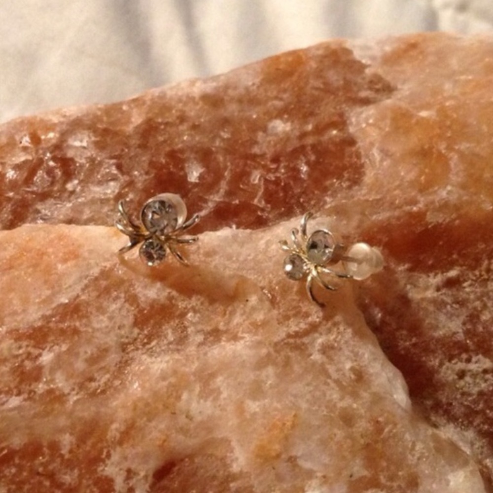 Sterling Silver Spider Earrings 👻2/$10